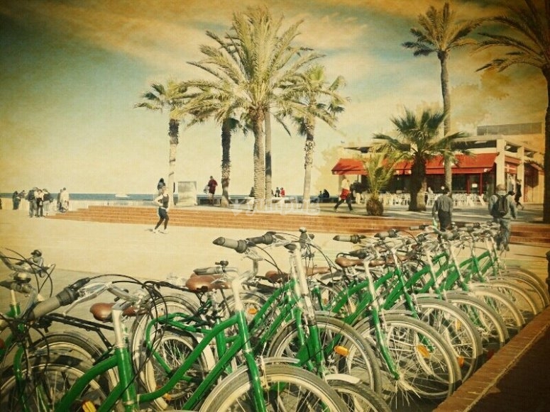 Green Bikes Barcelona, precios y reservas 2024